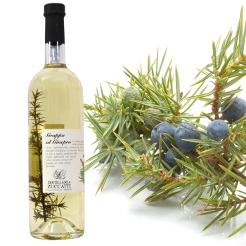 grappa ginepro4
